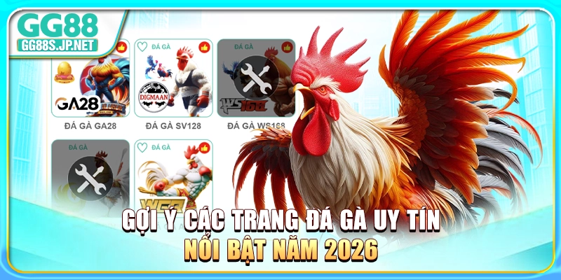 goi-y-cac-trang-da-ga-uy-tin-noi-bat-nam-2026