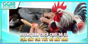huong-dan-cach-choi-da-ga-cua-sat-chi-tiet-de-bat-dau