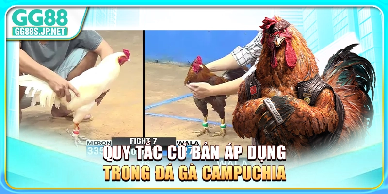quy-tac-co-ban-ap-dung-trong-da-ga-campuchia