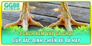 cach-xem-vay-ga-choi-giup-xac-dinh-chien-ke-da-hay