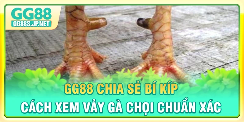 gg88-chia-se-bi-kip-cach-xem-vay-ga-choi-chuan-xac