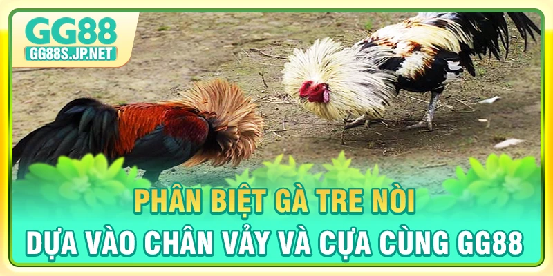 phan-biet-ga-tre-noi-dua-vao-chan-vay-va-cua-cung-gg88
